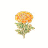 Brosch - Pin - Blomma - Tagetes - Marigold